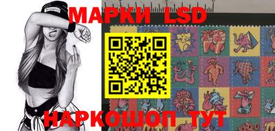 spice Заволжье