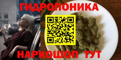 spice Заволжье
