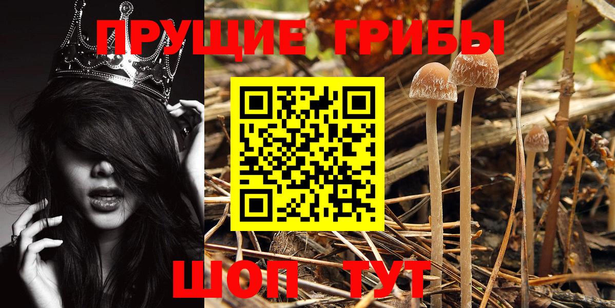 Галлюциногенные грибы MAGIC MUSHROOMS Можга