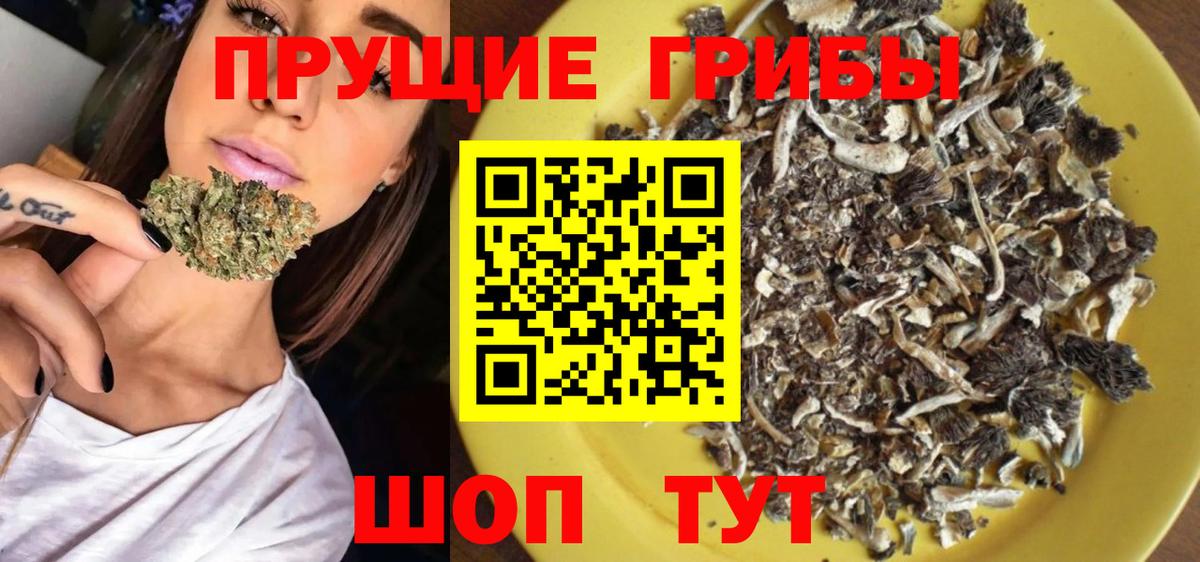 Галлюциногенные грибы GOLDEN TEACHER  Вход с VPN  Можга  Галлюциногенные грибы GOLDEN TEACHER 